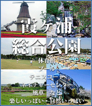 right_banner_big_sougoukoue