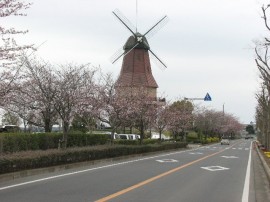 2010s-sakura23