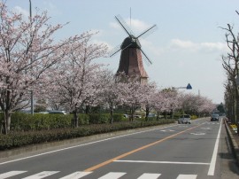2010s-sakura31