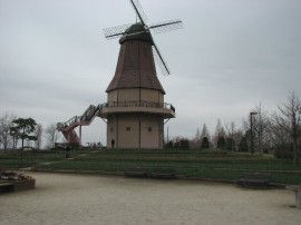 2010s-tulip01